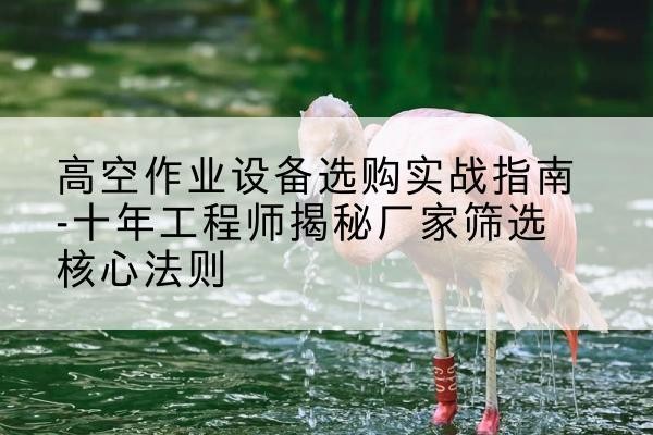 丹凤剪叉式升降机厂家-高空作业设备选购实战指南-十年工程师揭秘厂家筛选核心法则