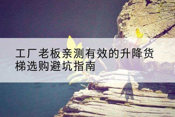 丹凤升降货梯怎么选-工厂老板亲测有效的升降货梯选购避坑指南