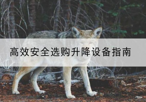丹凤升降货梯厂家推荐-*安全选购升降设备指南