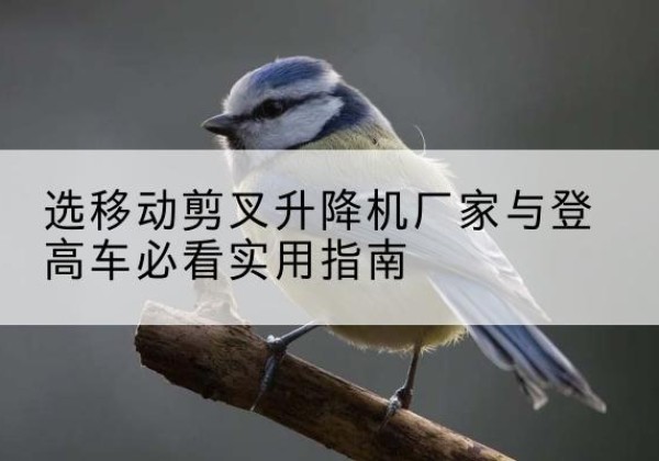 丹凤电动升降机厂家-选移动剪叉升降机厂家与登高车必看实用指南