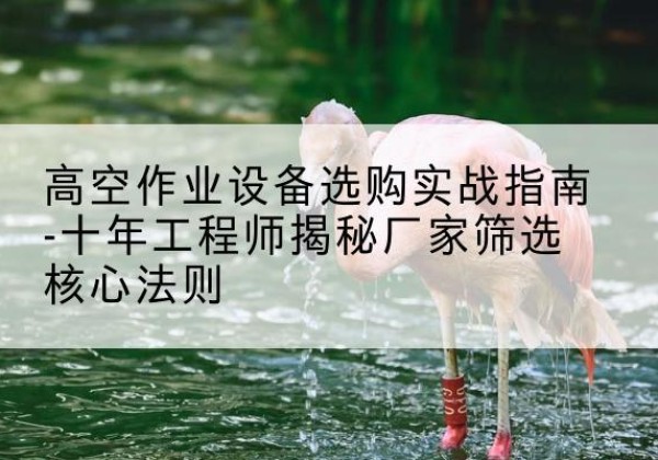 丹凤剪叉式升降机厂家-高空作业设备选购实战指南-十年工程师揭秘厂家筛选核心法则