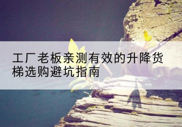 丹凤升降货梯怎么选-工厂老板亲测有效的升降货梯选购避坑指南
